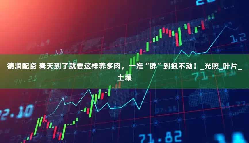 德润配资 春天到了就要这样养多肉，一准“胖”到抱不动！_光照_叶片_土壤