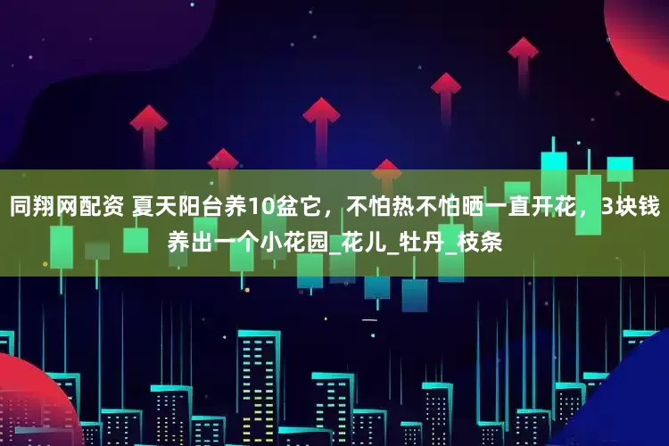 同翔网配资 夏天阳台养10盆它，不怕热不怕晒一直开花，3块钱养出一个小花园_花儿_牡丹_枝条