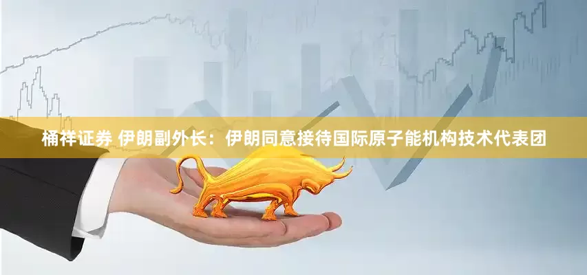 桶祥证券 伊朗副外长：伊朗同意接待国际原子能机构技术代表团